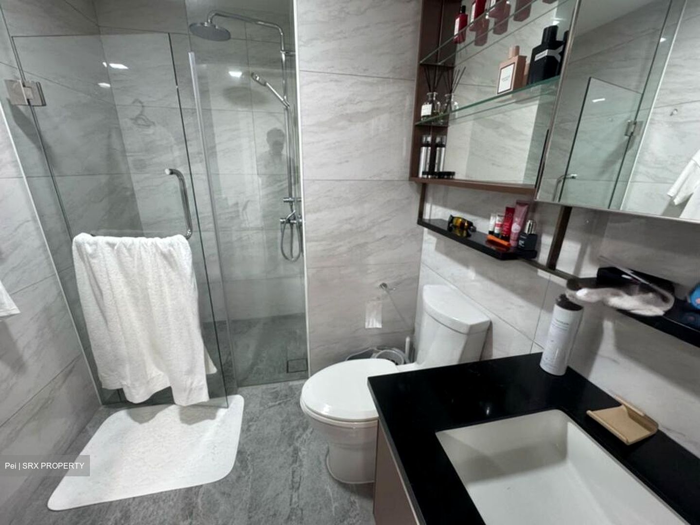 Normanton Park (D5), Apartment #447390091